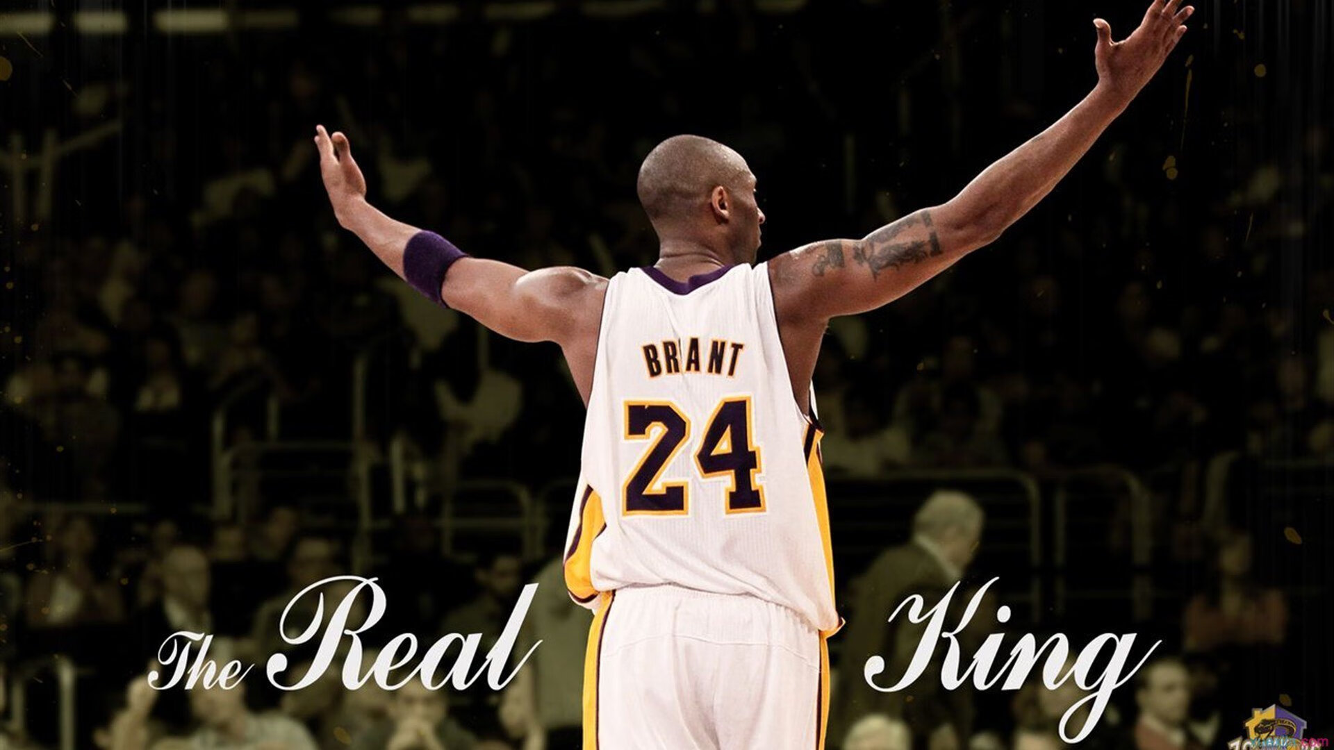 开云体育-黄蜂席卷雷霆之夜，字母哥神兵天降！东决关键战被他一人接管